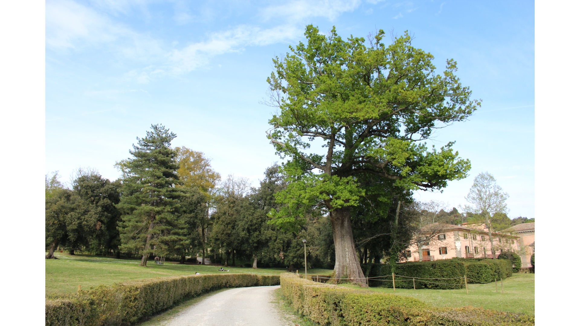 Visuale del viale di fronte alla statua Il Colosso dell’Appennino