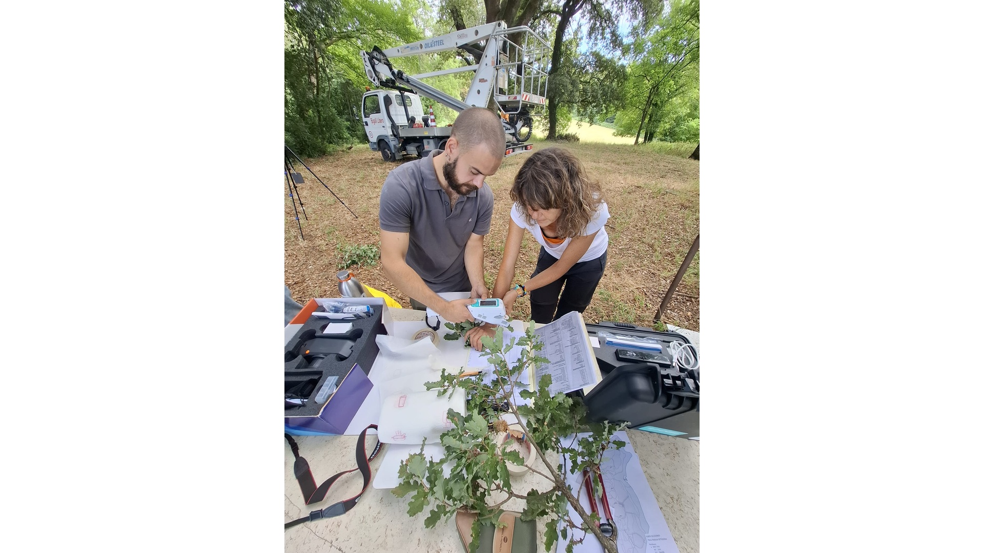 Analisi fisiologiche fogliari