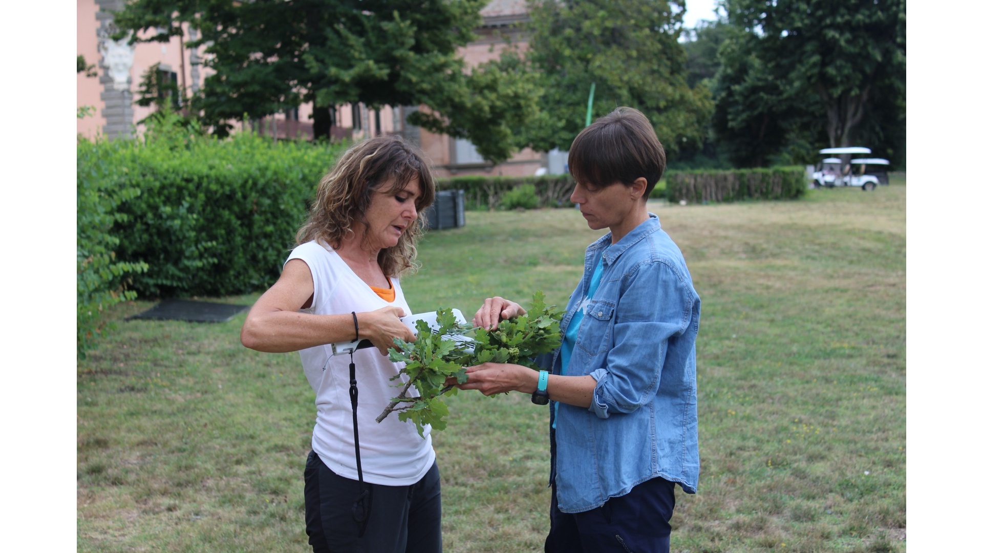 Valutazione fogliare Licor-600